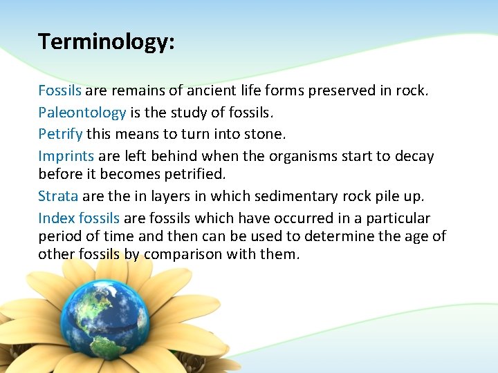 Terminology: Fossils are remains of ancient life forms preserved in rock. Paleontology is the Terminology: Fossils are remains of ancient life forms preserved in rock. Paleontology is the