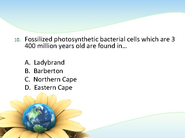 10. Fossilized photosynthetic bacterial cells which are 3 400 million years old are found 10. Fossilized photosynthetic bacterial cells which are 3 400 million years old are found