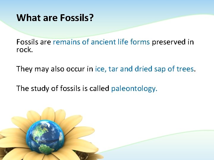 What are Fossils? Fossils are remains of ancient life forms preserved in rock. They What are Fossils? Fossils are remains of ancient life forms preserved in rock. They