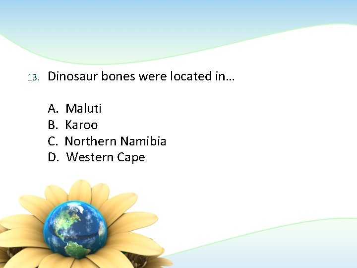 13. Dinosaur bones were located in… A. B. C. D. Maluti Karoo Northern Namibia 13. Dinosaur bones were located in… A. B. C. D. Maluti Karoo Northern Namibia