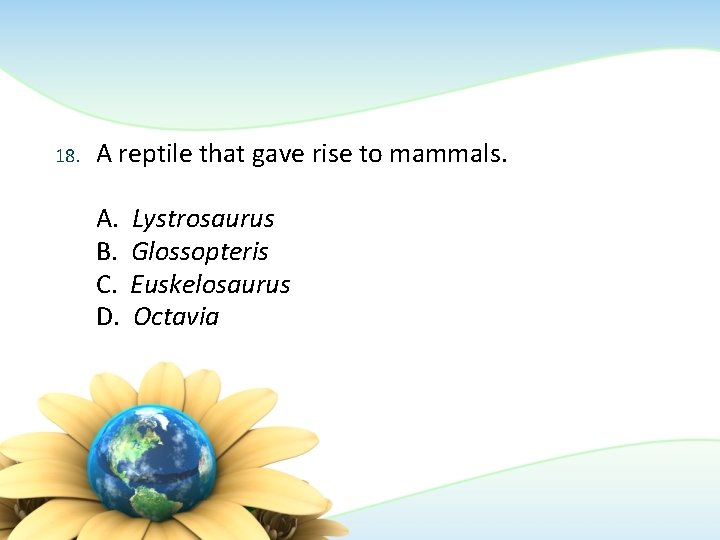 18. A reptile that gave rise to mammals. A. B. C. D. Lystrosaurus Glossopteris 18. A reptile that gave rise to mammals. A. B. C. D. Lystrosaurus Glossopteris