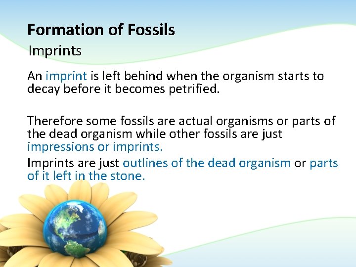 Formation of Fossils Imprints An imprint is left behind when the organism starts to Formation of Fossils Imprints An imprint is left behind when the organism starts to