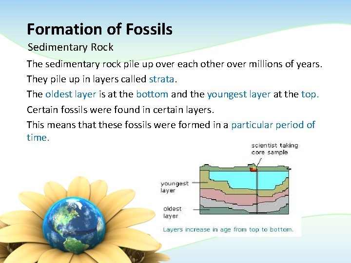 Formation of Fossils Sedimentary Rock The sedimentary rock pile up over each other over Formation of Fossils Sedimentary Rock The sedimentary rock pile up over each other over