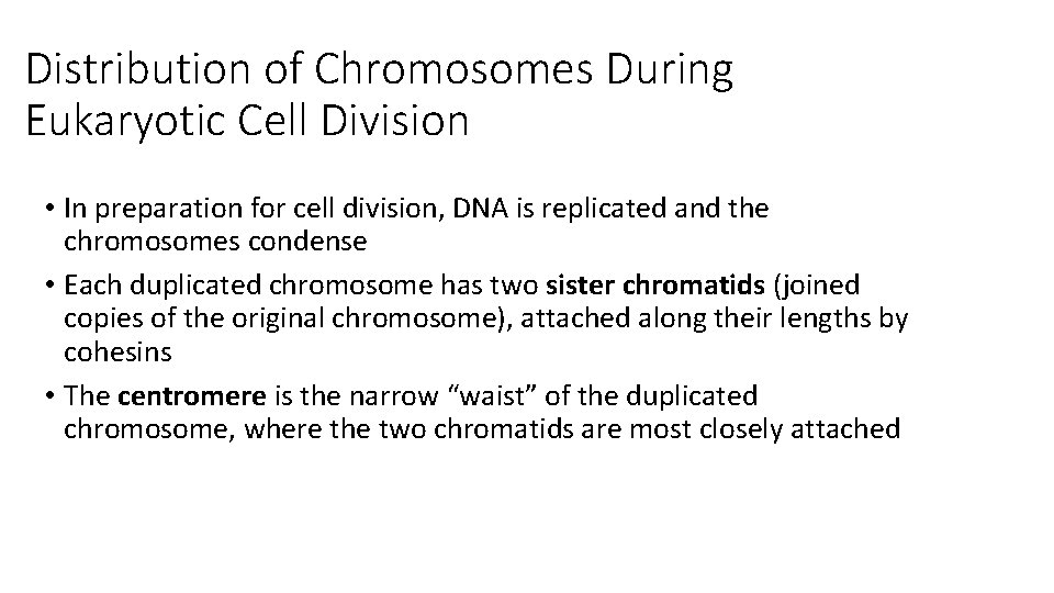 Distribution of Chromosomes During Eukaryotic Cell Division • In preparation for cell division, DNA