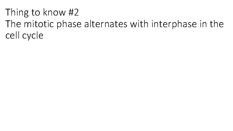 Thing to know #2 The mitotic phase alternates with interphase in the cell cycle