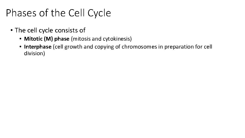 Phases of the Cell Cycle • The cell cycle consists of • Mitotic (M)