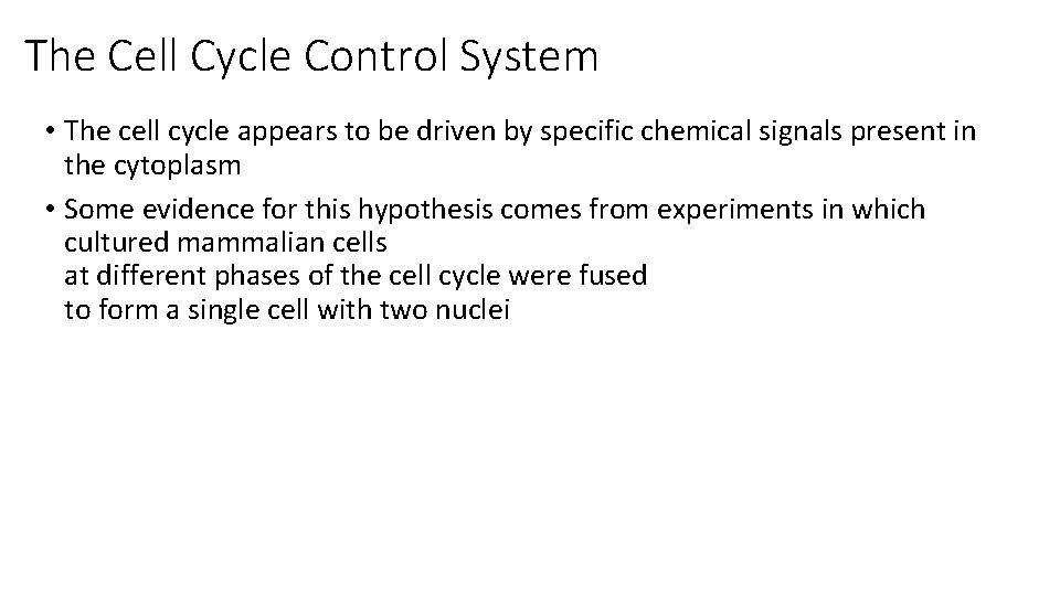 The Cell Cycle Control System • The cell cycle appears to be driven by
