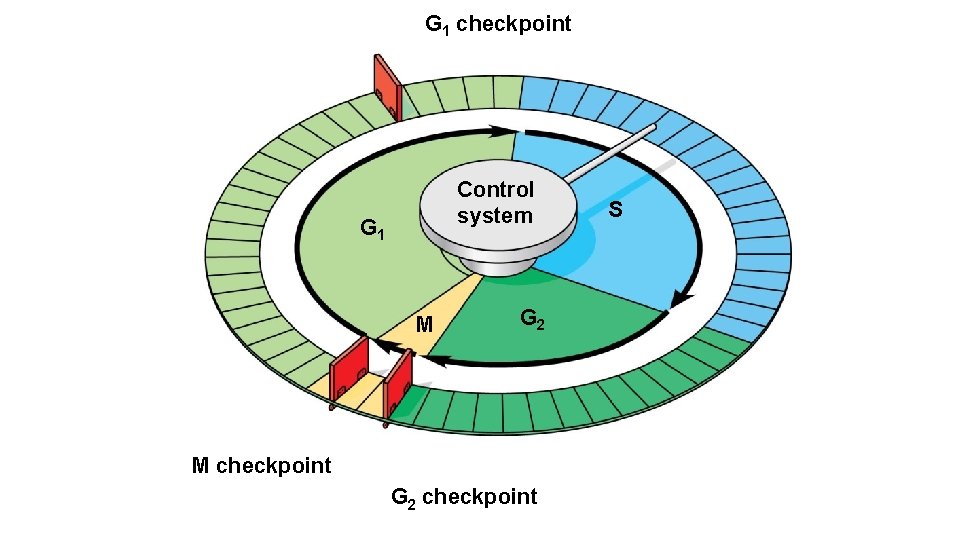 G 1 checkpoint Control system G 1 M G 2 M checkpoint G 2