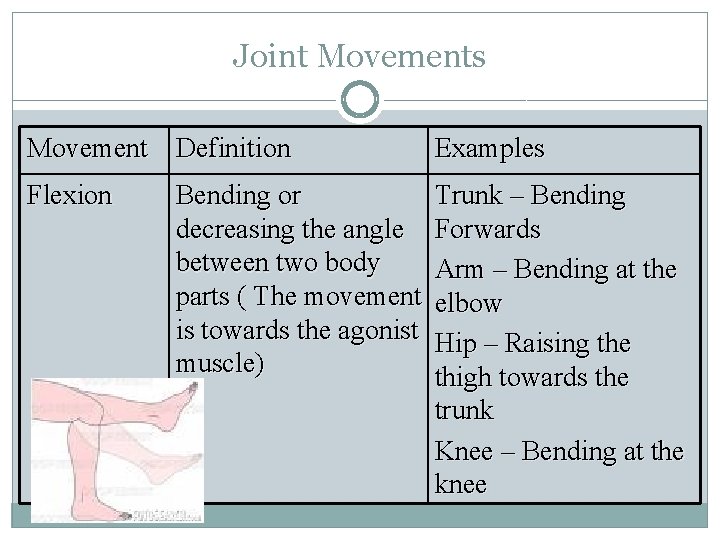 Joint Movements Movement Definition Examples Flexion Trunk – Bending Forwards Arm – Bending at