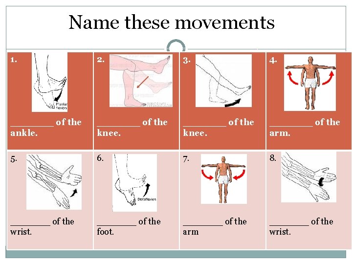 Name these movements 1. 2. 3. 4. _______ of the ankle. _______ of the