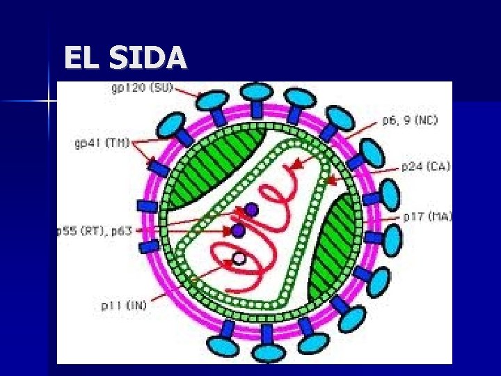 EL SIDA 