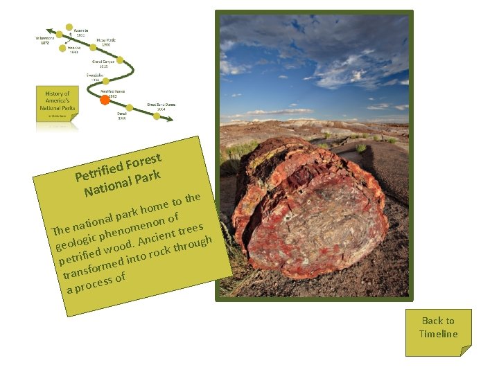 Petrified Forest r o F ied Petrif al Park n Natio the o t