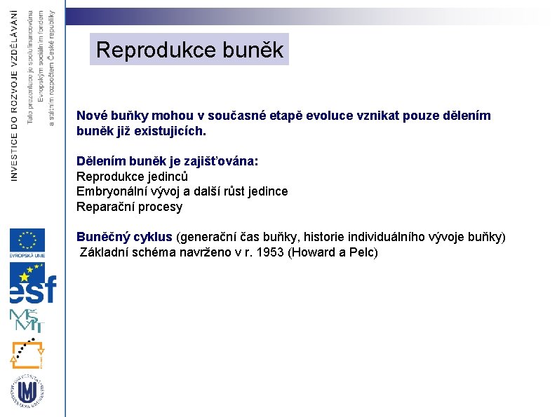 Reprodukce buněk Nové buňky mohou v současné etapě evoluce vznikat pouze dělením buněk již