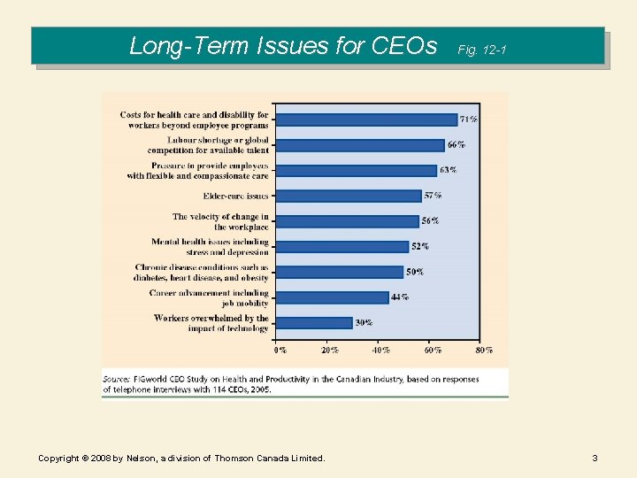 Long-Term Issues for CEOs Copyright © 2008 by Nelson, a division of Thomson Canada