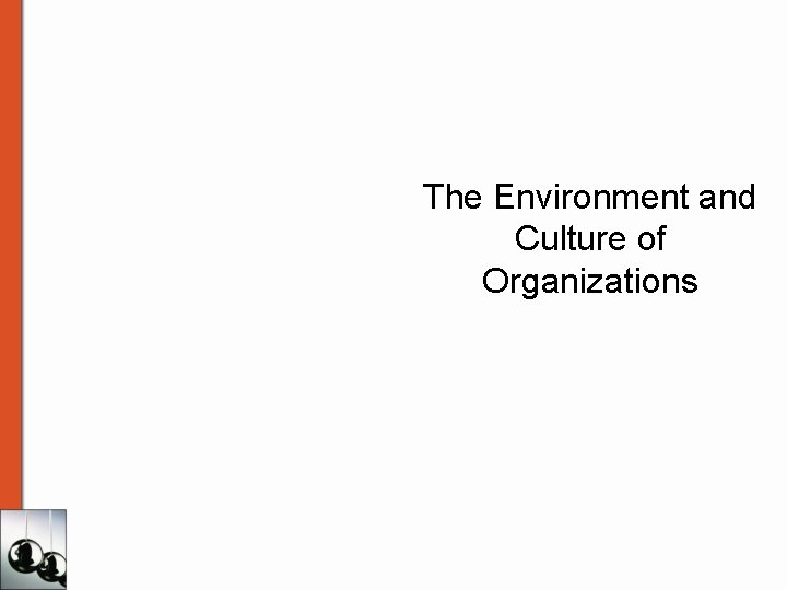 The Environment and Culture of Organizations 
