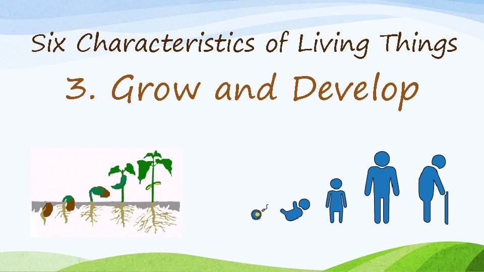 Six Characteristics of Living Things 3. Grow and Develop 