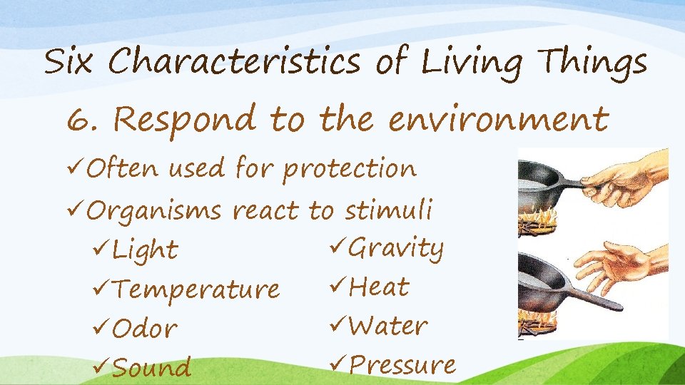 Six Characteristics of Living Things 6. Respond to the environment üOften used for protection