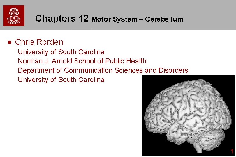 Chapters 12 Motor System – Cerebellum l Chris Rorden University of South Carolina Norman