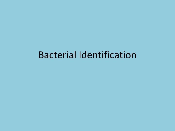 Bacterial Identification 
