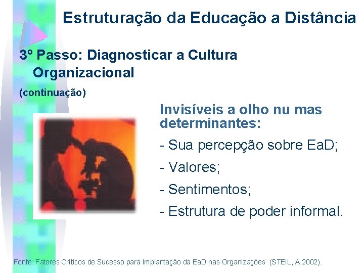 Estruturação da Educação a Distância 3º Passo: Diagnosticar a Cultura Organizacional (continuação) Invisíveis a