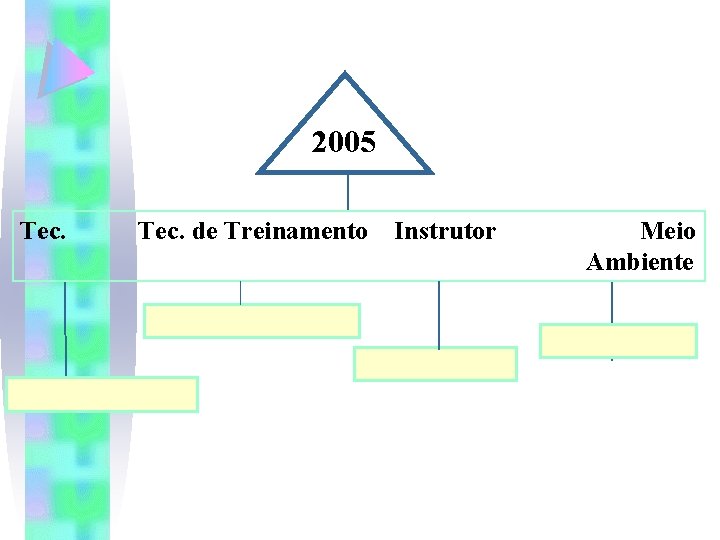 2005 Tec. de Treinamento Instrutor Meio Ambiente 