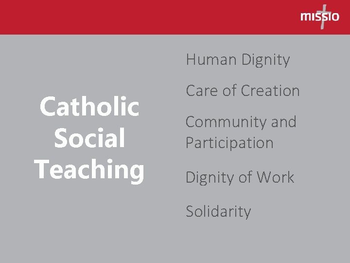 Human Dignity Catholic Social Teaching Care of Creation Community and Participation Dignity of Work