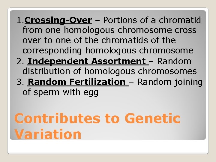 1. Crossing-Over – Portions of a chromatid from one homologous chromosome cross over to