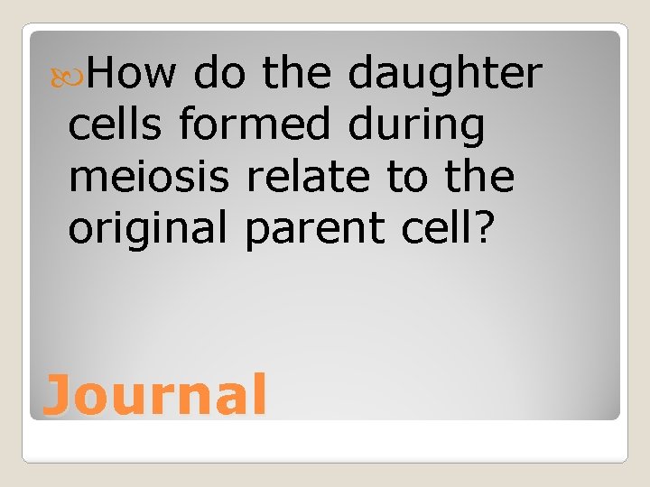  How do the daughter cells formed during meiosis relate to the original parent