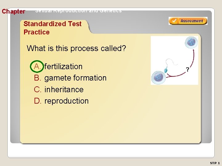 Chapter Sexual Reproduction and Genetics Standardized Test Practice What is this process called? A.