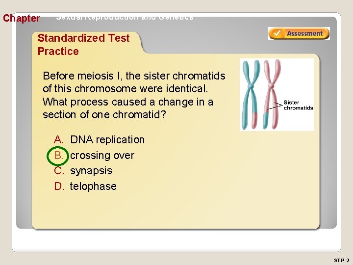 Chapter Sexual Reproduction and Genetics Standardized Test Practice Before meiosis I, the sister chromatids