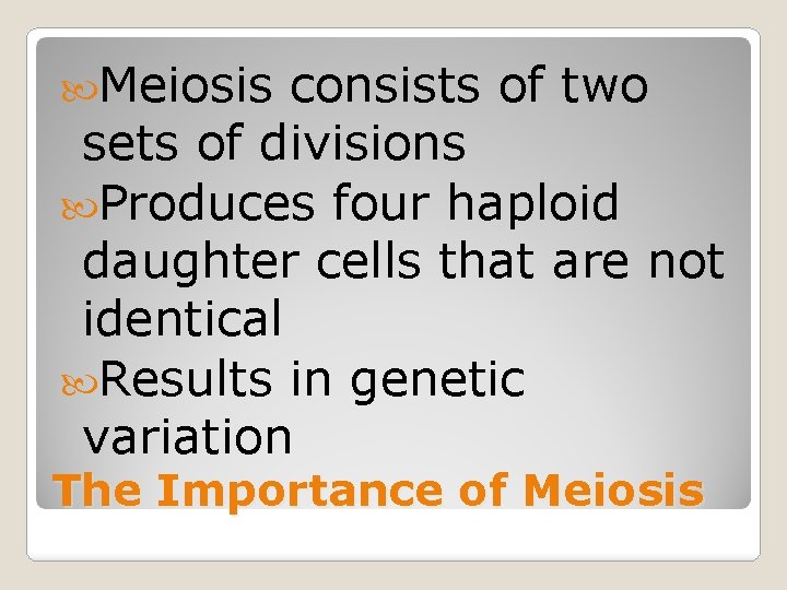 Meiosis consists of two sets of divisions Produces four haploid daughter cells that
