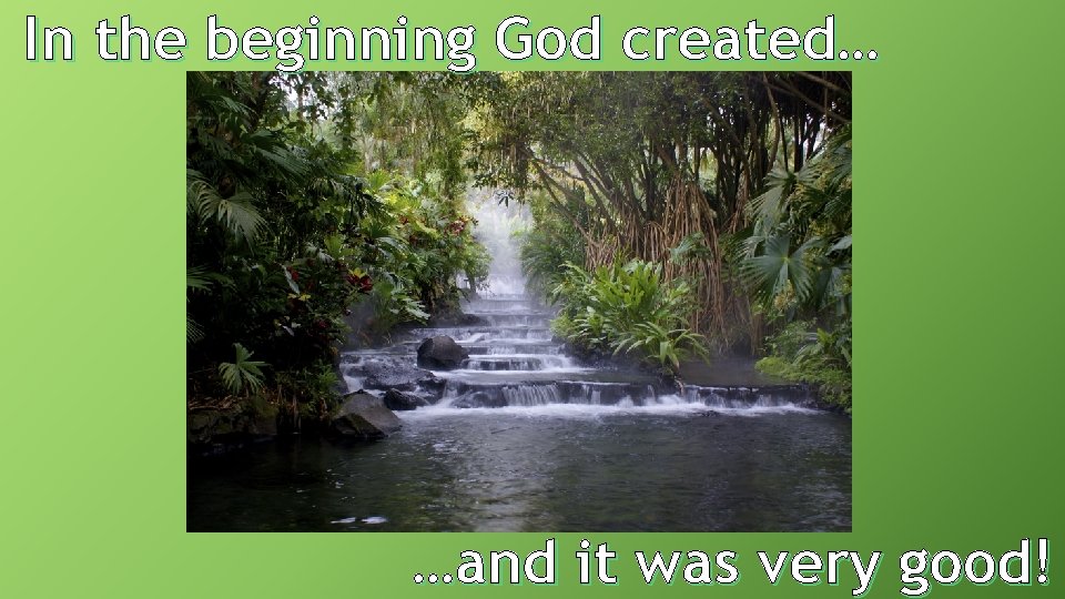 In the beginning God created… …and it was very good! 