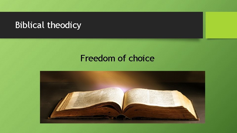 Biblical theodicy Freedom of choice 