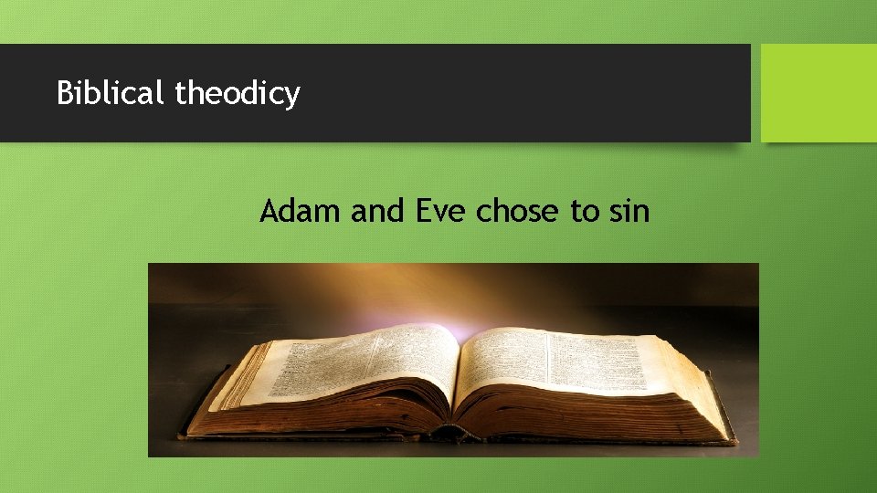 Biblical theodicy Adam and Eve chose to sin 