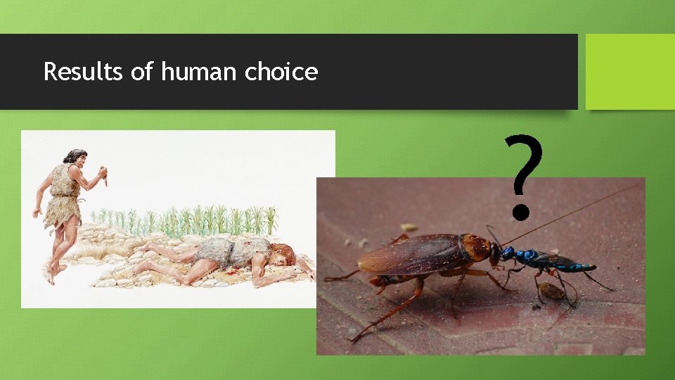 Results of human choice ? 