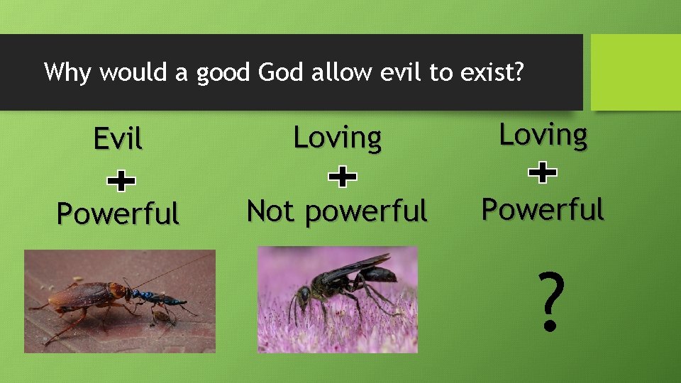 Why would a good God allow evil to exist? Evil Loving Powerful Not powerful