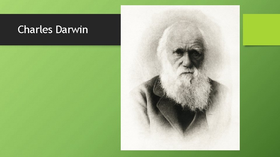 Charles Darwin 