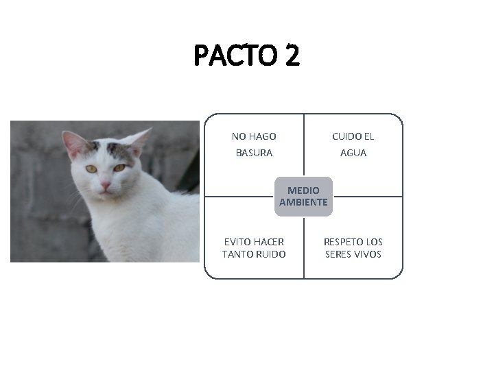 PACTO 2 NO HAGO CUIDO EL BASURA AGUA MEDIO AMBIENTE EVITO HACER TANTO RUIDO