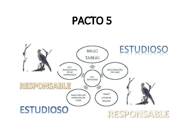 PACTO 5 HAGO TAREAS SOY PARTICIPATIVO EN MI APRENDIZAJE RESPONSABLE HAGO BIEN LOS EJERCICIOS