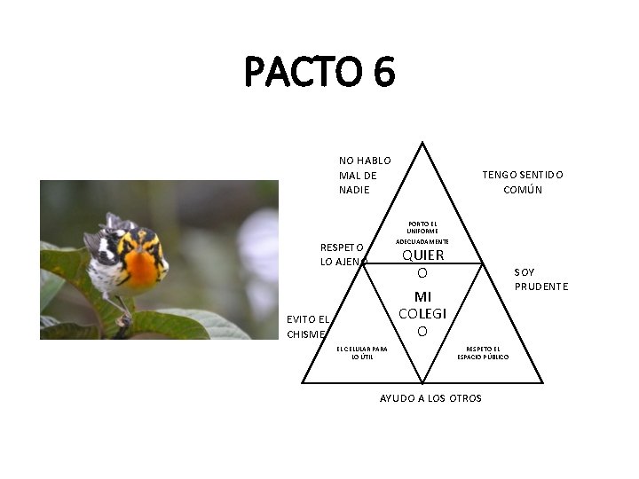 PACTO 6 NO HABLO MAL DE NADIE TENGO SENTIDO COMÚN PORTO EL UNIFORME ADECUADAMENTE