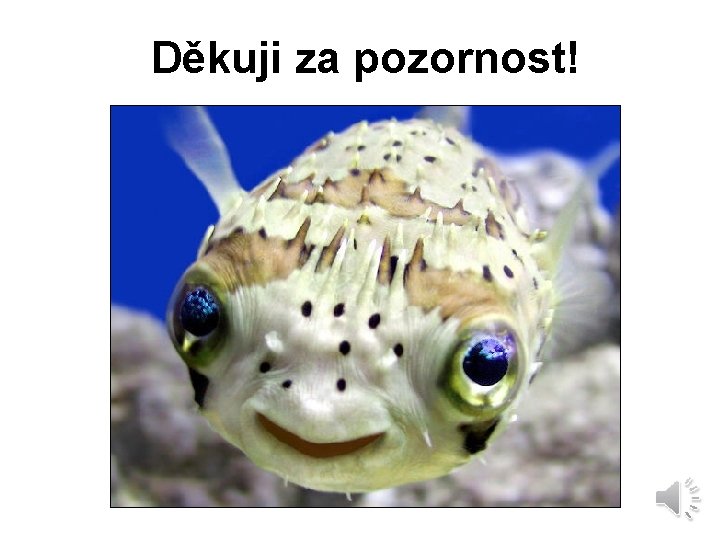 Děkuji za pozornost! 