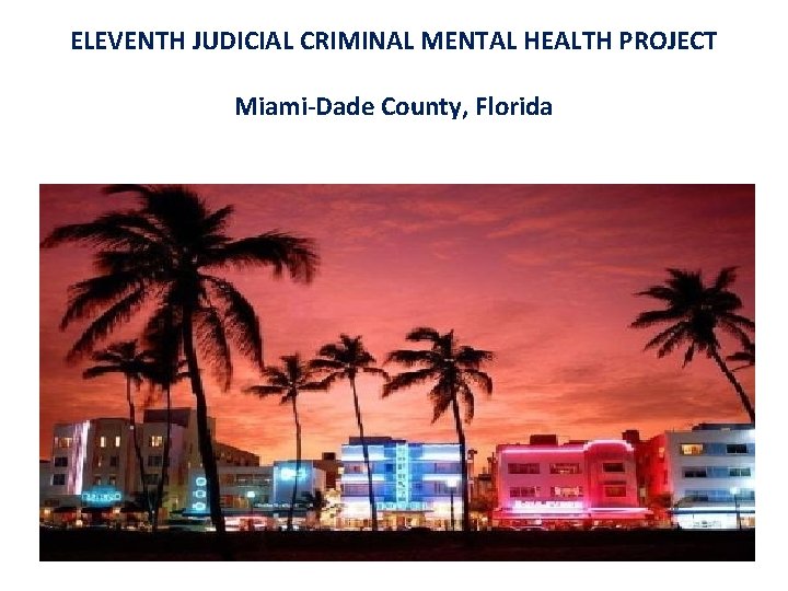 ELEVENTH JUDICIAL CRIMINAL MENTAL HEALTH PROJECT Miami-Dade County, Florida 