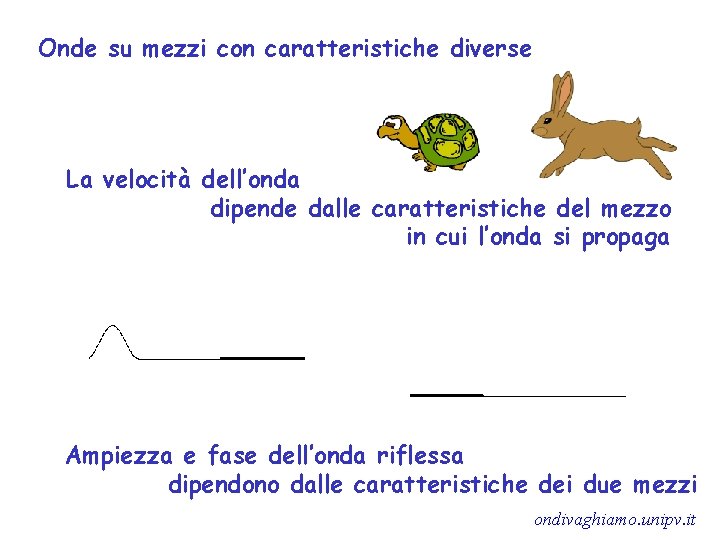 Onde su mezzi con caratteristiche diverse La velocità dell’onda dipende dalle caratteristiche del mezzo