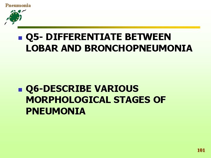 Pneumonia n n Q 5 - DIFFERENTIATE BETWEEN LOBAR AND BRONCHOPNEUMONIA Q 6 -DESCRIBE