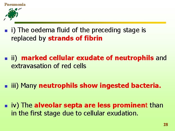 Pneumonia n n i) The oedema fluid of the preceding stage is replaced by