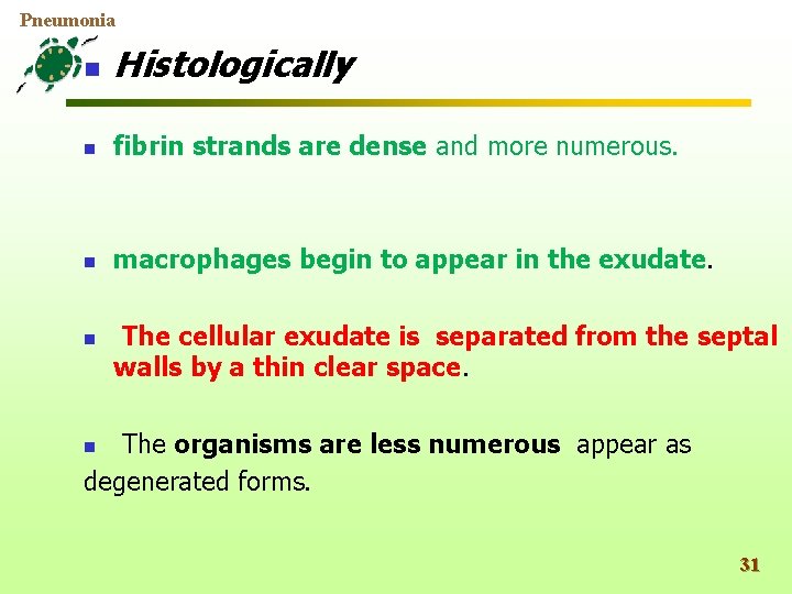 Pneumonia n Histologically n fibrin strands are dense and more numerous. n macrophages begin