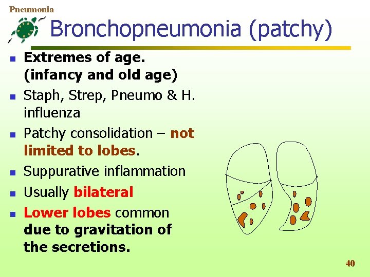 Pneumonia Bronchopneumonia (patchy) n n n Extremes of age. (infancy and old age) Staph,