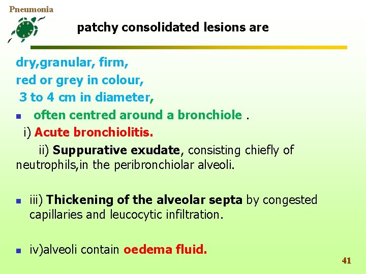 Pneumonia patchy consolidated lesions are dry, granular, firm, red or grey in colour, 3