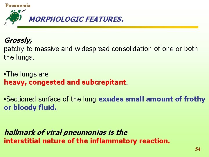 Pneumonia MORPHOLOGIC FEATURES. Grossly, patchy to massive and widespread consolidation of one or both