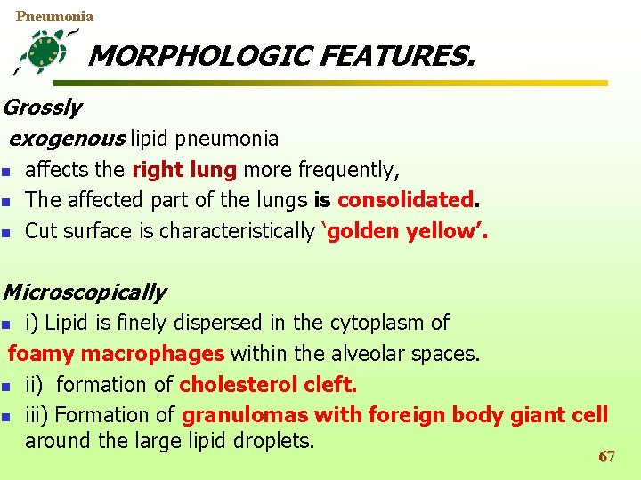 Pneumonia MORPHOLOGIC FEATURES. Grossly exogenous lipid pneumonia n n n affects the right lung